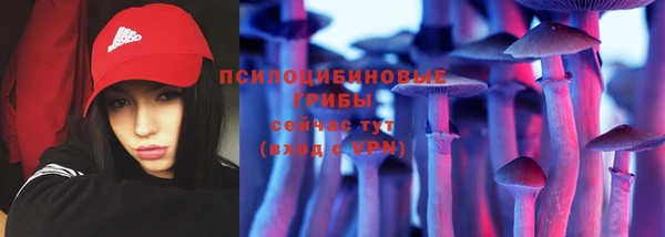 прущие крисы Елизово