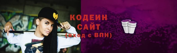 ГАЛЛЮЦИНОГЕННЫЕ ГРИБЫ Ельня