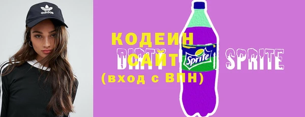 ГАЛЛЮЦИНОГЕННЫЕ ГРИБЫ Ельня