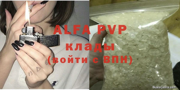 ГАЛЛЮЦИНОГЕННЫЕ ГРИБЫ Ельня