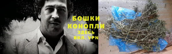 ГАЛЛЮЦИНОГЕННЫЕ ГРИБЫ Ельня