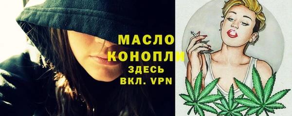 ГАЛЛЮЦИНОГЕННЫЕ ГРИБЫ Ельня