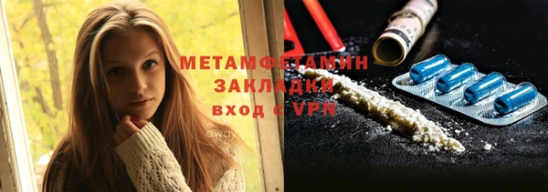 ГАЛЛЮЦИНОГЕННЫЕ ГРИБЫ Ельня