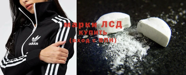 ГАЛЛЮЦИНОГЕННЫЕ ГРИБЫ Ельня