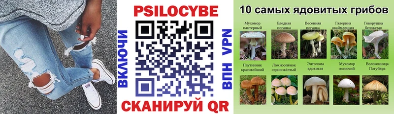 Псилоцибиновые грибы мухоморы Светогорск